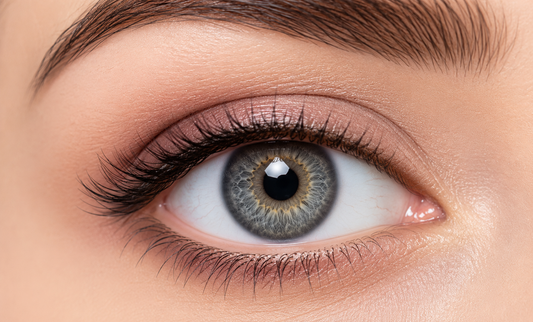 Halo grey - freshkon naho one day lens