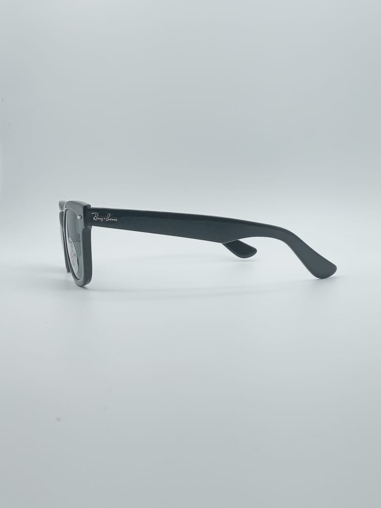 Acetate wayferer Black Frame Sunglasses-023