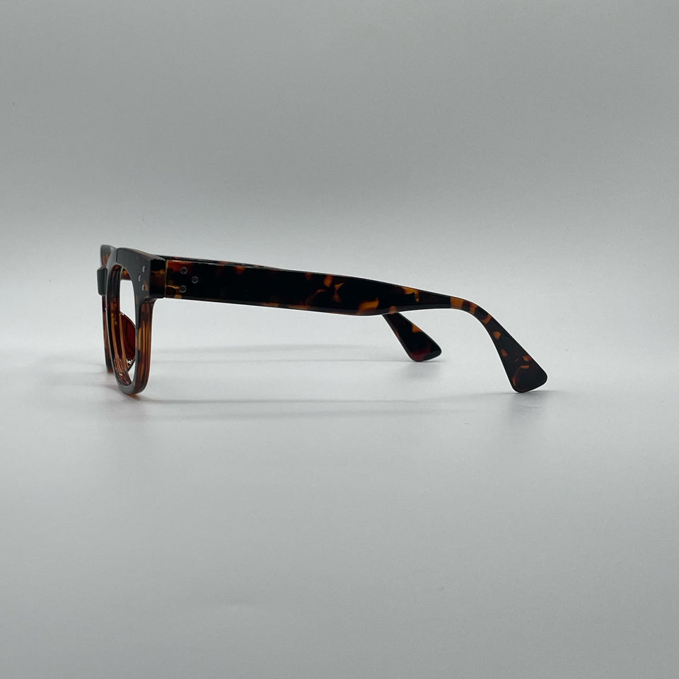 Acetate Tortoise Frame Optics-403
