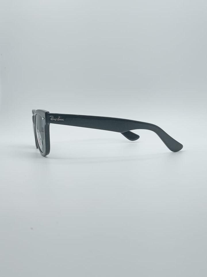 Acetate wayferer Black Frame Sunglasses-023